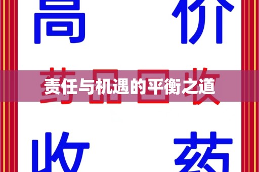绵阳责任与机遇的平衡之道