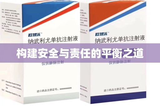 绵阳构建安全与责任的平衡之道