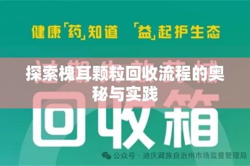 绵阳探索槐耳颗粒回收流程的奥秘与实践