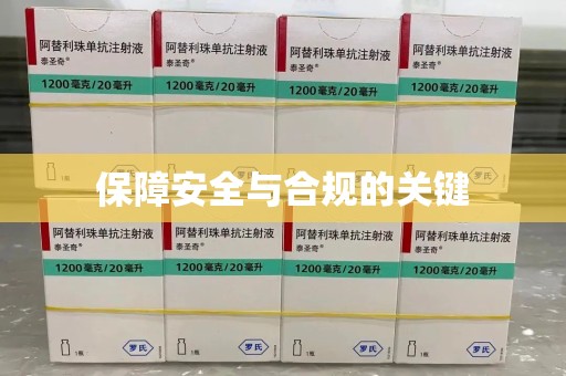 绵阳保障安全与合规的关键