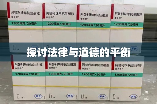 绵阳探讨法律与道德的平衡